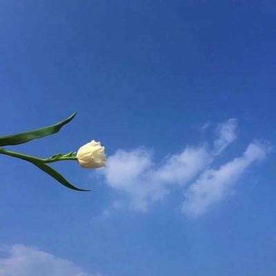 武娘暴走萝莉破解版下载