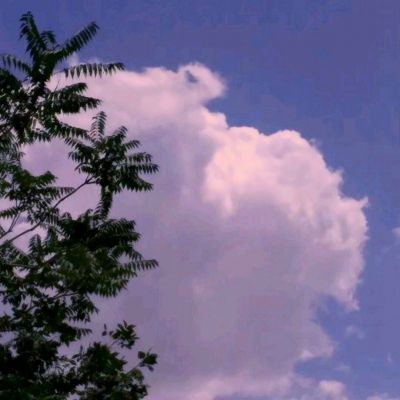 山海经九州异兽录bt版(暂未上线)v5.6.0 安卓版